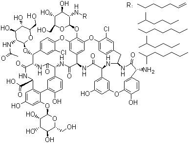 Anti drug-fast Teicoplanin CAS NO.:61036-62-2