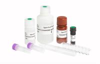 Essai de Kit For Spermatozoa Acrosin Activity d'essai de fonction de sperme de méthode de la phase solide BAPNA