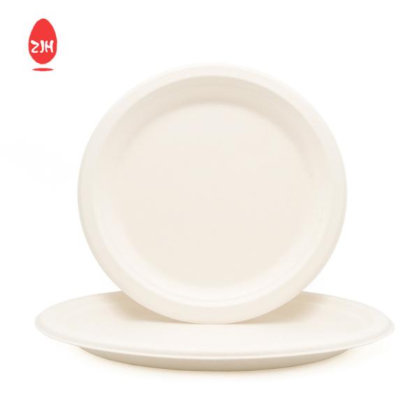 245mm Disposable Food Packaging Containers FSC Environmental Protection Tableware