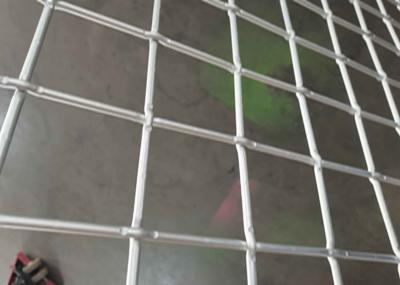 Anti Acid Lock Crimp Wire Mesh 0.157 Opening  0.039 0.031 Diameter Wire