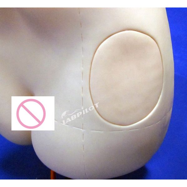 Clinical Nursing Training Simple Hip Injection Trainer IM Injection Teaching Model