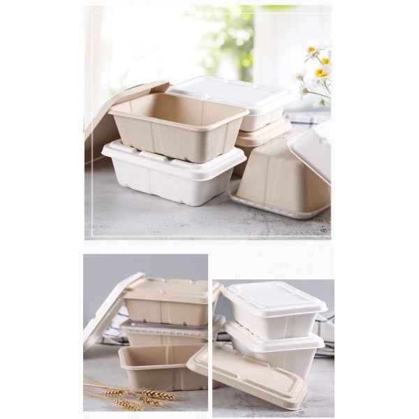 450ml 550ml Natural Eco Biodegradable Bagasse Tableware Salad Fast Food To Go Containers