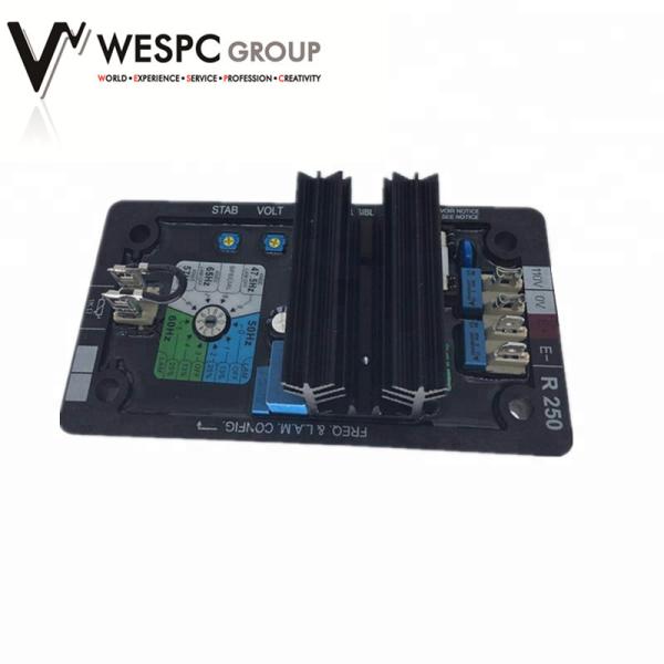 Leroy Somer R250 AVR voltage:max 100VDC at 120VAC input