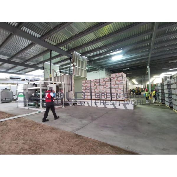 Agricultural Produce Pre Cooling System Leafy Vegetables Vacuum Cooling Machine