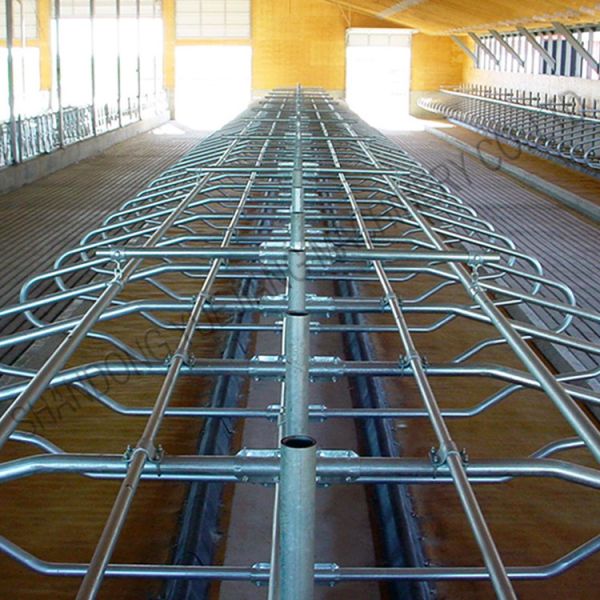 Тип амбар скотин 9JY молокозавода стойла кисловочного доказательства свободный для поголовья