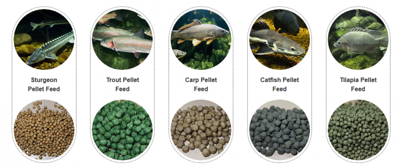 Factory Price Wet Type Floating Fish Feed Extruder Machine for Catfish High Efficiency Feed Processing Equipment