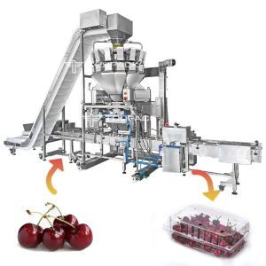 Máquina de empacotamento automática linear de Cherry Blueberry Strawberry Tray Box da máquina de enchimento