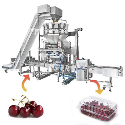 Fruto Multihead que pesa e máquina de empacotamento Cherry Linear Filling Production Line