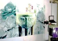 Propaganda de pintura UV da impressora 720X1440dpi da parede do Inkjet do software do RASGO
