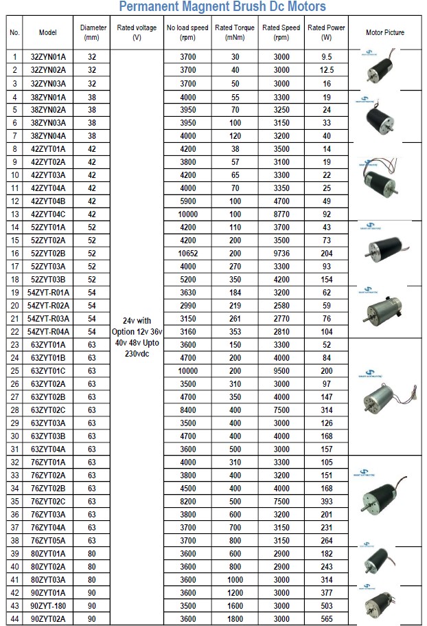 Высокий крутящий момент 12v 24v 36v 48v Micro Pm Electric Dc Brushed Brushless Motor Спецификация таблицы данных Китайская фабрика