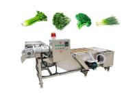 Fruits 380V Vegetable Washing Machine With Conveyor