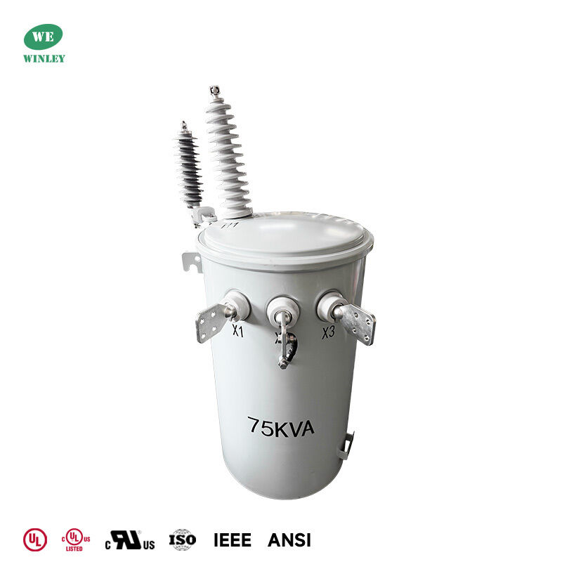 25kVA 4160Y/2400V Pole-Mounted Transformer for Oil Field Distribution