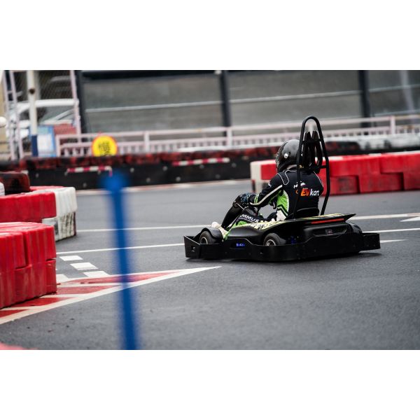 Моторы двойного гидравлического тарельчатого тормоза двойные электронные идут Kart Cammus 48V 50Ah