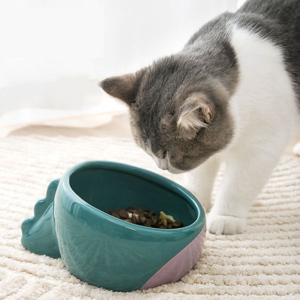 Green 13*7cm 10*5cm Round Pet Ceramic Bowl Dinosaur Shape Anti Vomiting Ceramic Dog Bowls