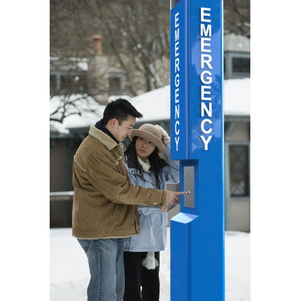 Вандалоустойчивая 4G аварийная телефонная башня для кампуса / на обочине дороги