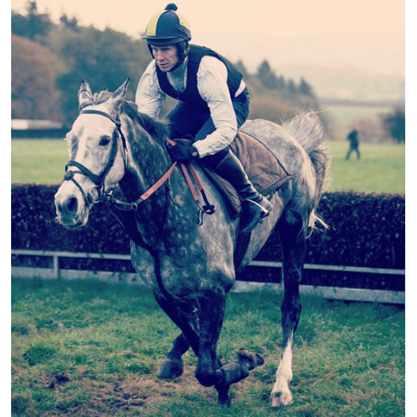 Сертифицированный пенопокрытый жилет для активной конной езды