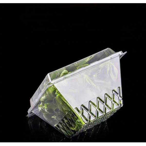 Encastrement à base d'herbes et de coquillages en plastique