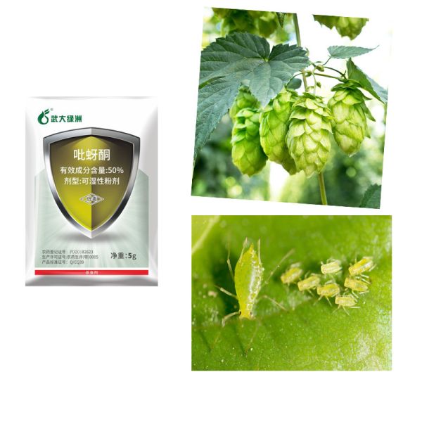 50% Pymetrozine WP Natural Vegetable Insecticide Kill Cabbage looper