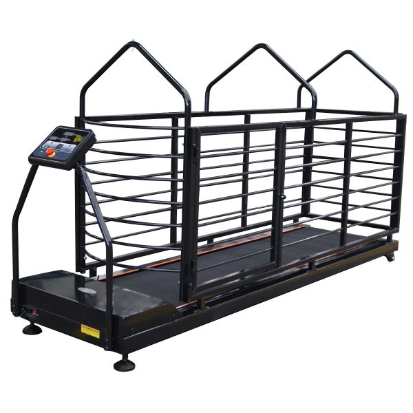 equipamiento médico del animal doméstico de la rueda de ardilla del corredor del perro de la capacidad 200kgs