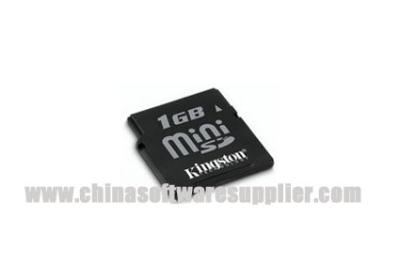 Cartões de memória Flash compactos para KINGSTON MINI SD