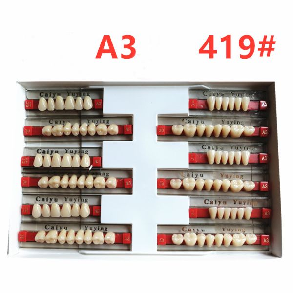 Heraeus Dental Acrylic Resin Teeth High Stain Resistance Durability