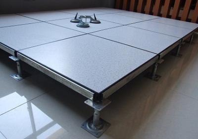FS800 HDG600 610 x 610 x 35mm Environmental Anti-Static Raised Access Floor