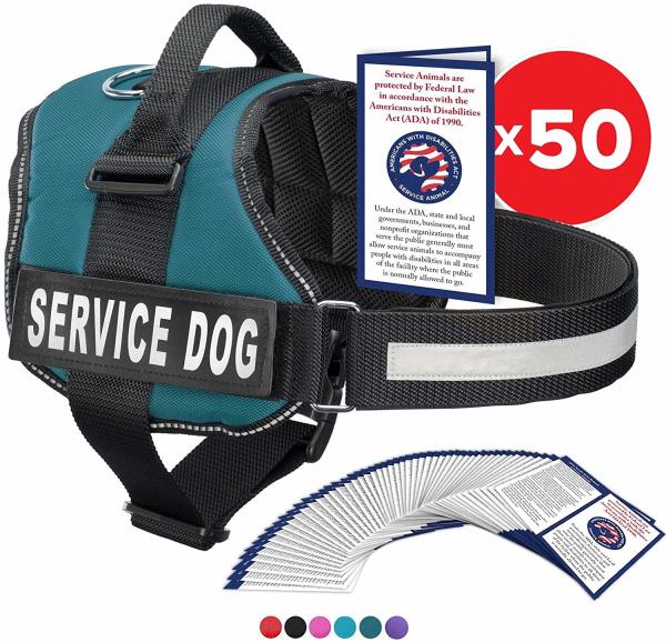 Multicolored Comfortable Pet Harness Mesh Padding Working K9 Eco - Friendly