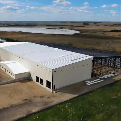 Q355 Steel Large Span Color Customized Modern Design Prefab Steel Structure Warehouse With Office