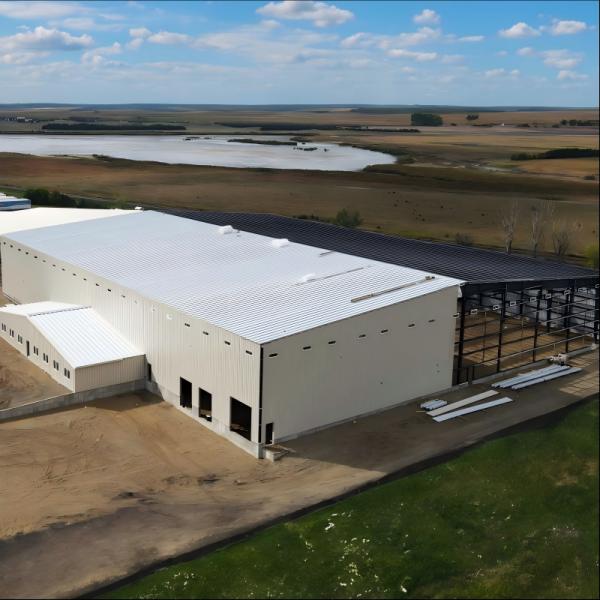 Q355 Steel Large Span Color Customized Modern Design Prefab Steel Structure Warehouse With Office