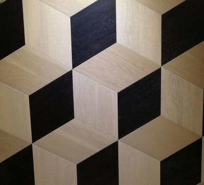 les dalles de parquet de chêne, les parquets artistiques, le noir et le blanc ont souillé, l'apparence 3D