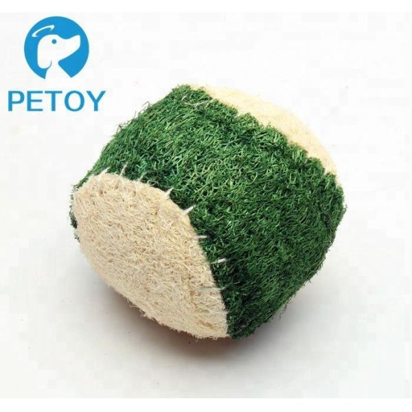 Eco Friendly Small Indestructible Rope Dog Toys Nature Loofah Material