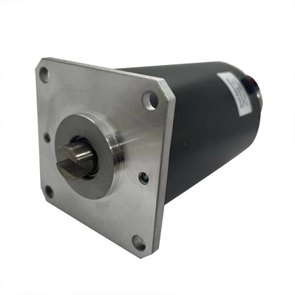 Motor de bomba de corrente contínua personalizado para bombas de óleo de combustível líquido de água e ar hidráulico 12v 24v 36v 48v sem escova ou escovado OEM personalizado