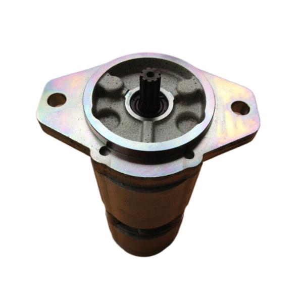 Pompes à engrenages hydrauliques à haute performance pour applications industrielles Bosch Rexroth 0517665306