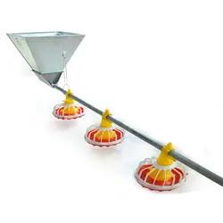 Sistema de alimentação automática para aves de capoeira Equipamento de criação de frangos Bebedor e alimentador de frangos