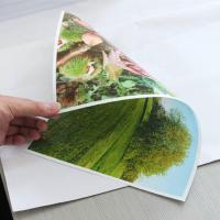 OEM lustroso impermeável do filme de impressão do Inkjet do papel da foto de A3 RC