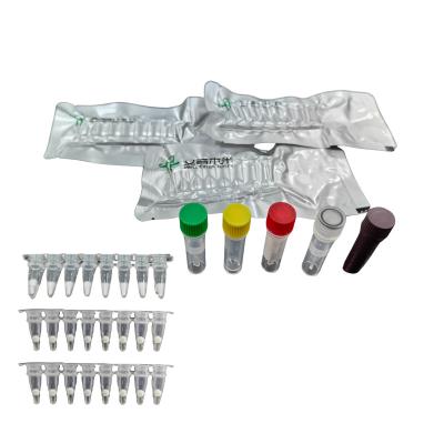 Kit de detecção de patógenos de temperatura constante fluorescência