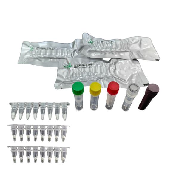 Influenza A Virus Constant Temperature Pathogen Detection Kit Fluorescence