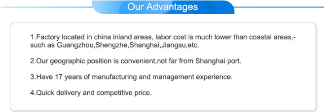 Одобренный CE 094050-0060 Топливный насос высокого давления