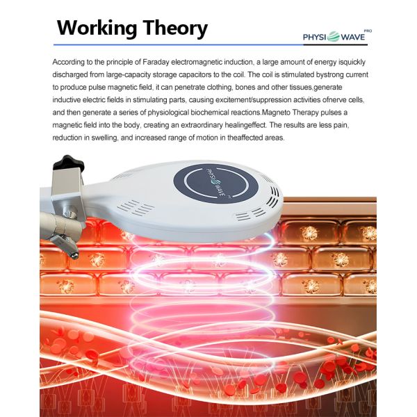 Commercial Magnetotherapy System with Zimmer Technology for Physiotherapy Clinics with 15.6 Inches capacitive Screen