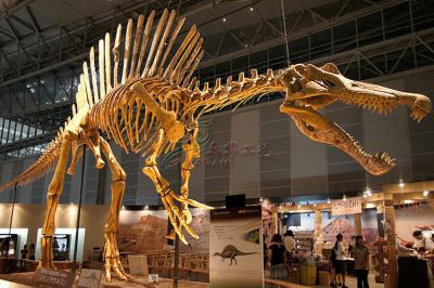 Modelo completo enorme do fóssil de dinossauro para o shopping/museu do ar livre