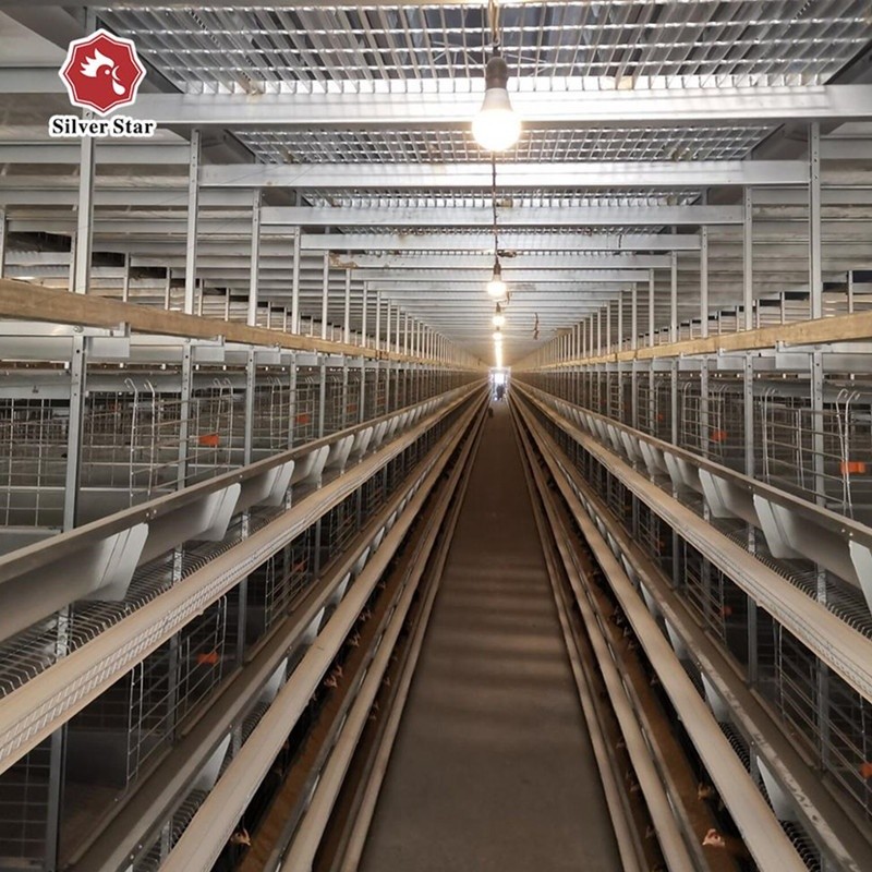 Enhancing Operational Efficiency Hen House for Convenient Farming