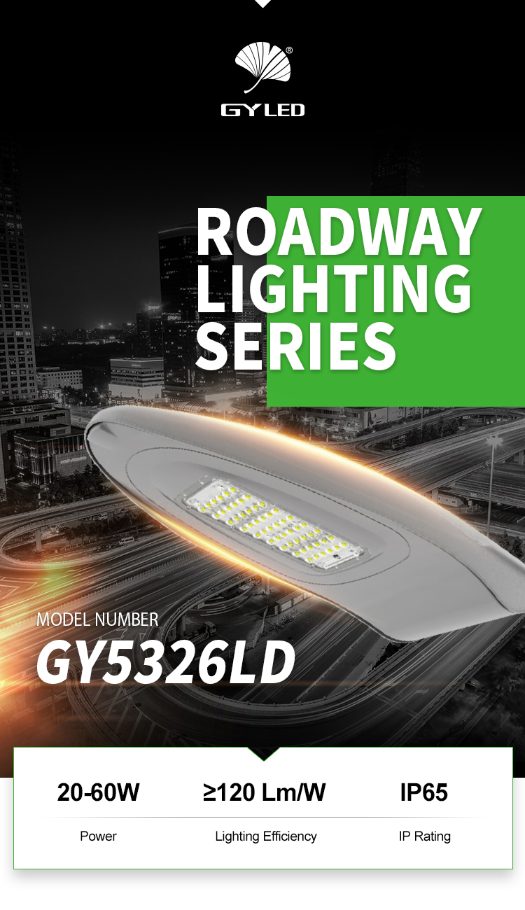 Снабжение жилищем 50watt 30watt заливки формы алюминиевое привело поставку DC AC уличного света