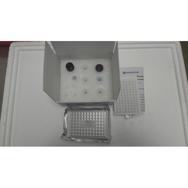 Reliable Elisa Quantitative Kit Thyroid Stimulating Hormone TSH