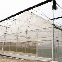 Élevage en plein air Élevage à plusieurs étages Élevage de légumes agricoles Film de baies Serre poly tunnel