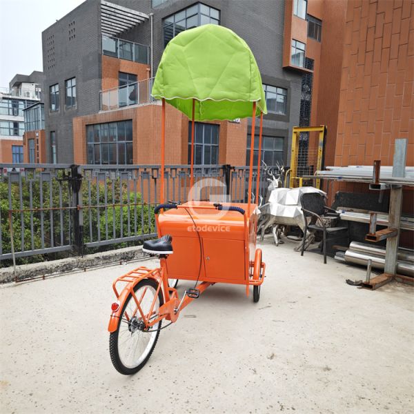Conveniently Designed Outdoor Food Travel Vending Bike with Custom Cargo Tricycle