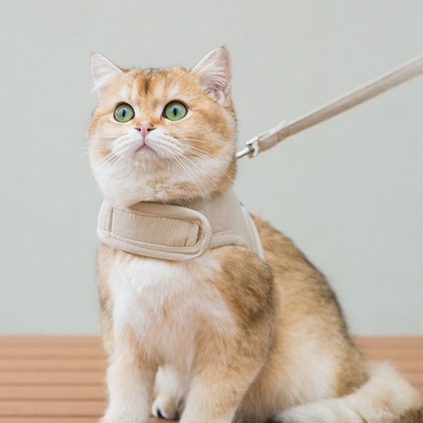 Tissus respirants, vêtements pour animaux de compagnie, vêtements de fête, vêtements pour chiens