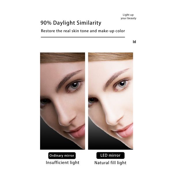LED Lighted Bathroom Makeup Mirror 10X Magnifying - Goose Neck Wall Mounted with Suction Cup