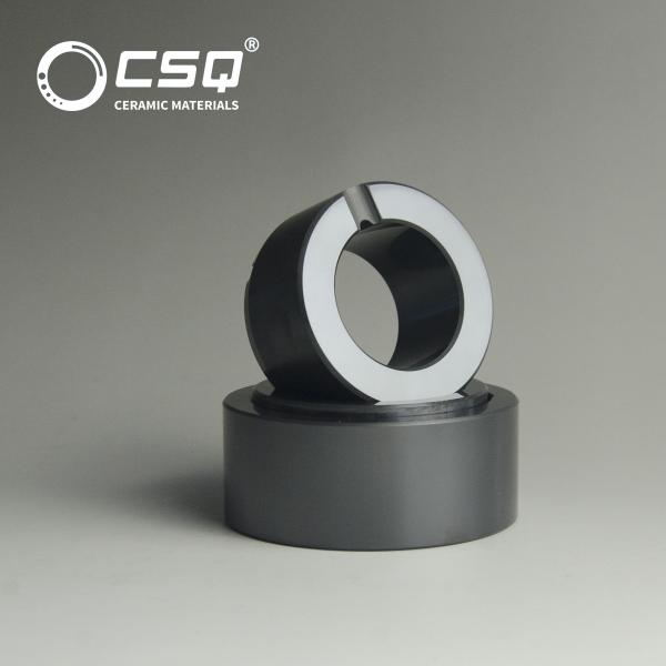 O carregamento do carboneto de silicone de SSiC cerâmico para o  da bomba da movimentação magnética alinhou