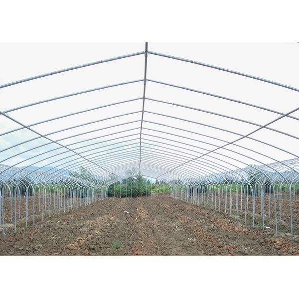 150Micron Single Span Greenhouse Customizable Plastic Film Greenhouse