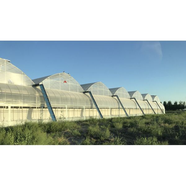 Теплица LiTai Многопролетная пленка Сельское хозяйство Теплица с строительством из стали